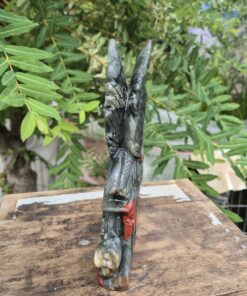 Alternative view of Afrikaanse bloedsteen Feniks