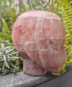 Roze calciet Innerlijk Kind schedel