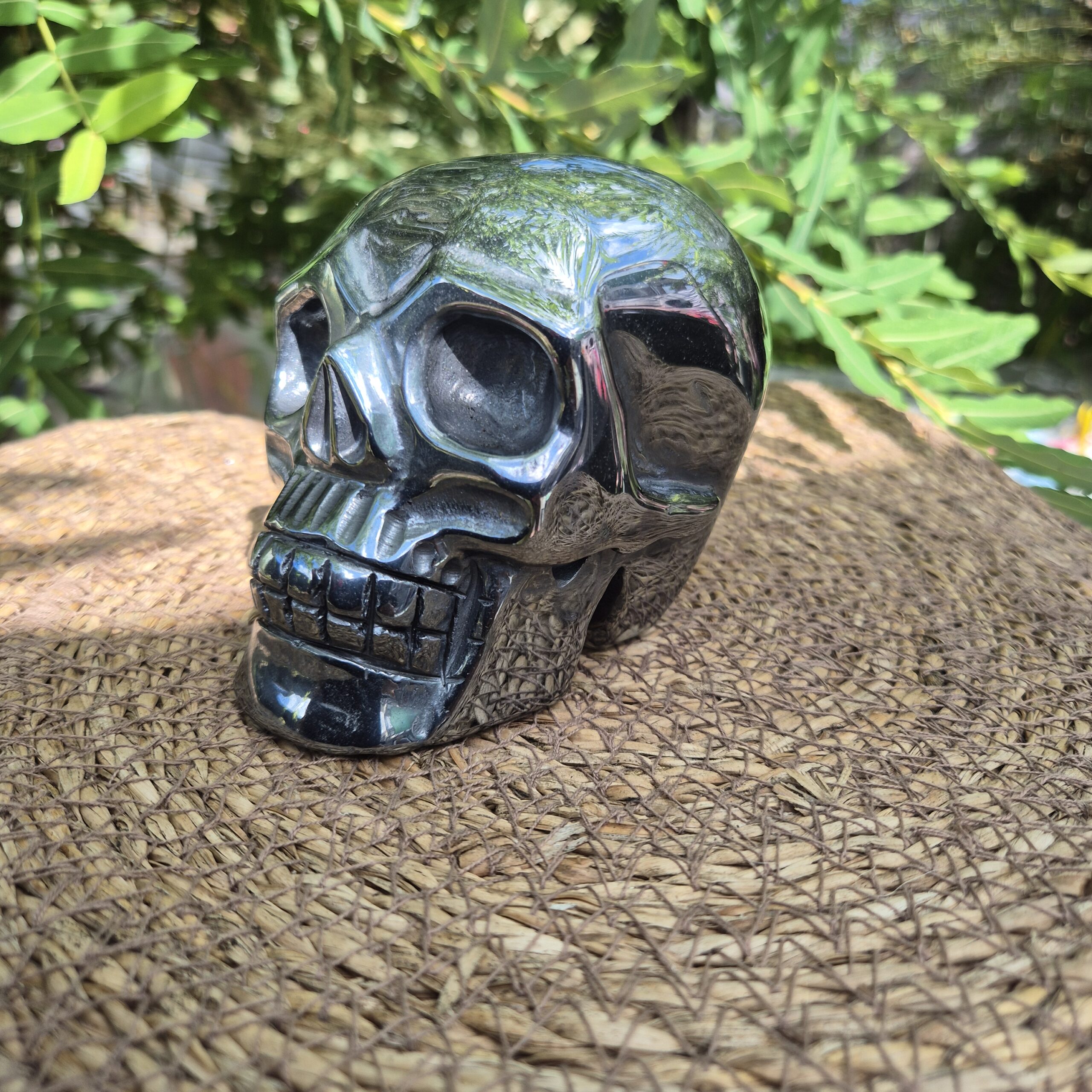 Terahertz schedel - Afbeelding 3