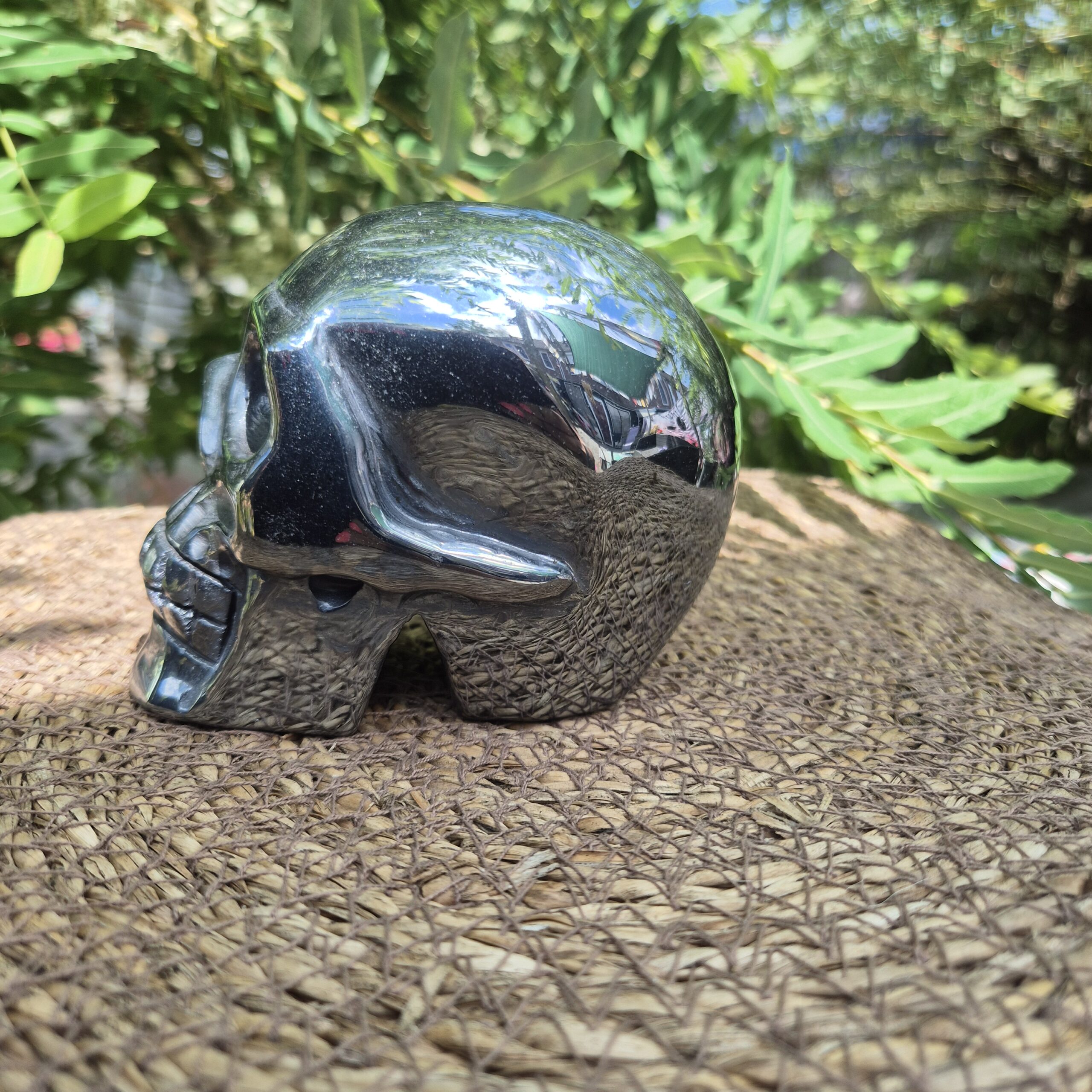 Terahertz schedel - Afbeelding 4