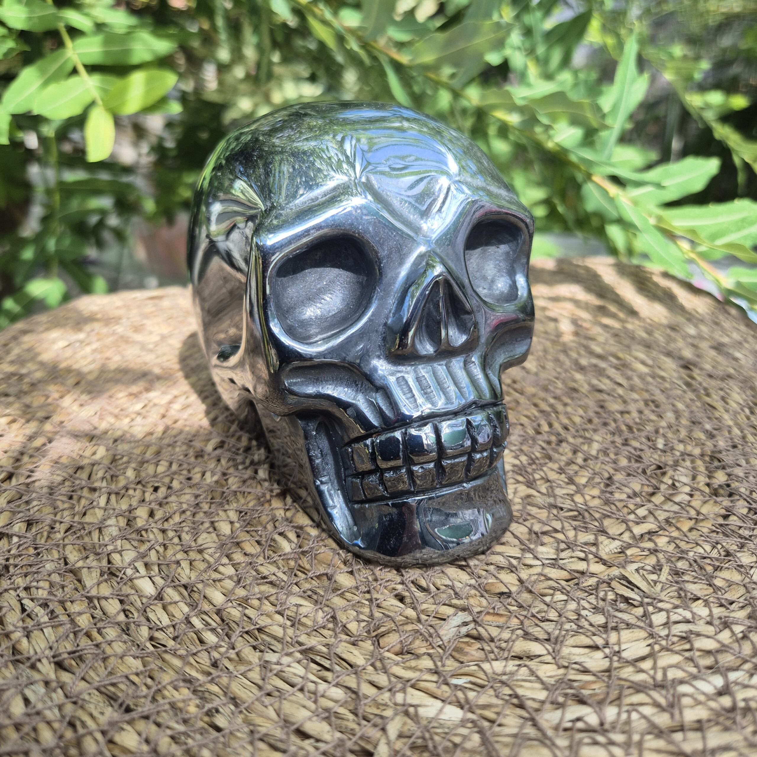 Terahertz schedel - Afbeelding 6