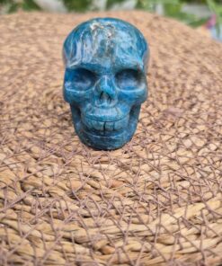 Alternative view of Apatiet schedel