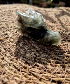 Alternative view of Lodoliet draken schedel 2