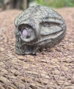 Alternative view of Pyriet alien skull