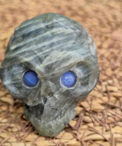 Labradoriet alien skull