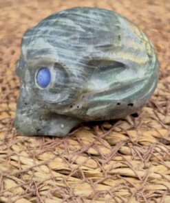 Alternative view of Labradoriet alien skull