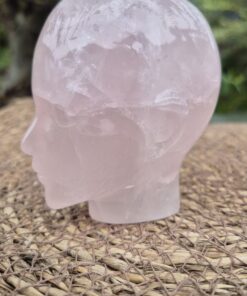 Alternative view of Sterrozenkwarts Innerlijk Kind skull