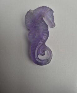 Alternative view of Fluoriet zeepaard