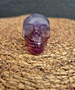 Alternative view of Fluoriet schedel