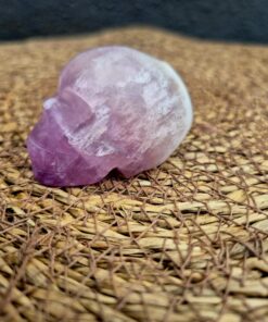 Alternative view of Fluoriet skull 3