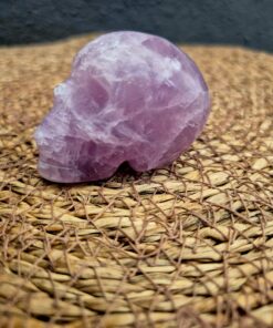 Alternative view of Fluoriet skull 4