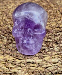Alternative view of Amethist schedel 2