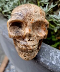 Amber calciet schedel