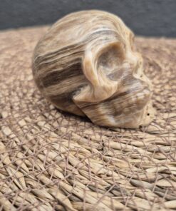 Alternative view of Amber calciet schedel