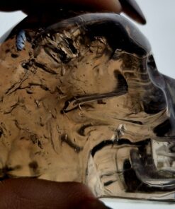 Braziliaanse Rookkwarts skull 4