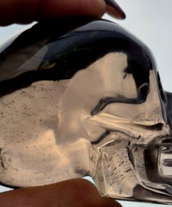 Alternative view of Braziliaanse rookkwarts/lemuur skull