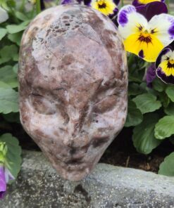 Fluoriet sfalariet Elfen skull