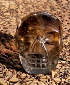 Braziliaanse rookkwarts/lemuur skull 10
