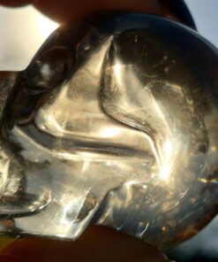 Alternative view of Braziliaanse rookkwarts/lemuur skull 12