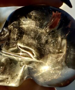 Braziliaanse rookkwarts/lemuur schedel 13