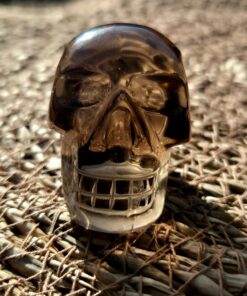 Alternative view of Braziliaanse rookkwarts/lemuur skull 14