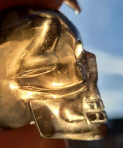 Braziliaanse rookkwarts/lemuur skull 15