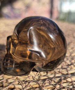 Alternative view of Braziliaanse rookkwarts/lemuur skull 16