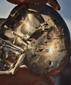 Braziliaanse rookkwarts/lemuur skull 16