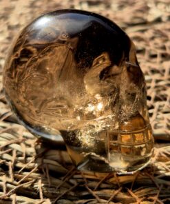 Alternative view of Braziliaanse rookkwarts/lemuur skull 21