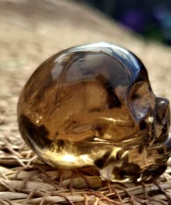 Alternative view of Braziliaanse rookkwarts/lemuur skull 7