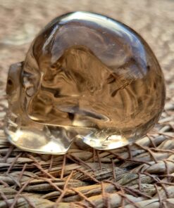 Alternative view of Braziliaanse rookkwarts/lemuur skull 8