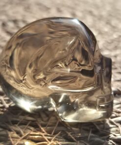 Alternative view of Braziliaanse rookkwarts/lemuur skull 5