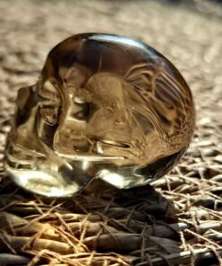 Braziliaanse rookkwarts/lemuur skull 5