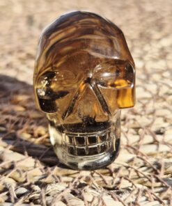 Alternative view of Braziliaanse rookkwarts/lemuur skull 6