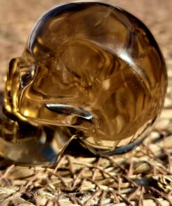 Braziliaanse rookkwarts/lemuur skull 6