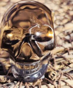 Alternative view of Braziliaanse rookkwarts/lemuur skull 2