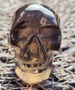 Alternative view of Braziliaanse rookkwarts/lemuur skull 1