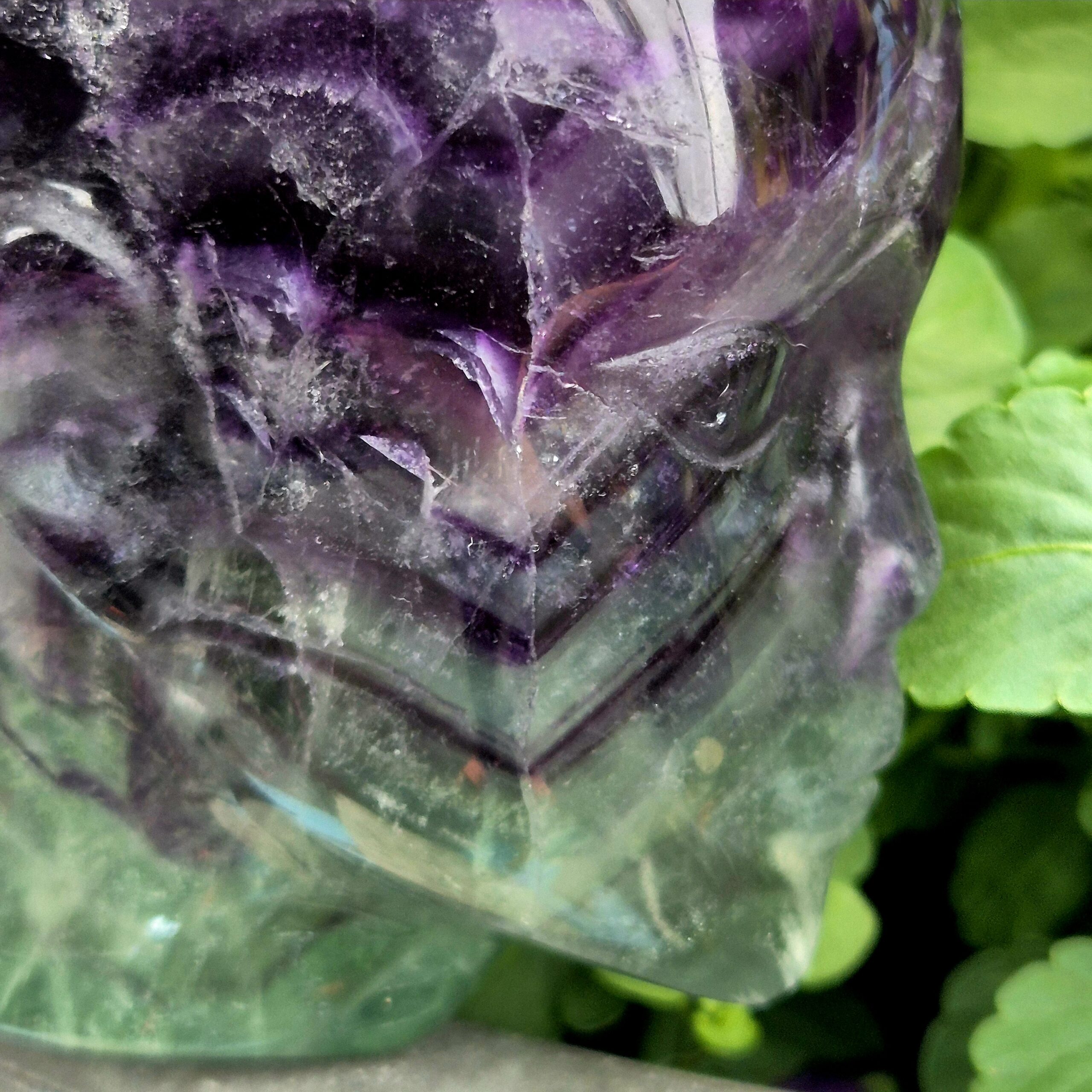 Fluoriet Innerlijk Kind schedel - Afbeelding 12