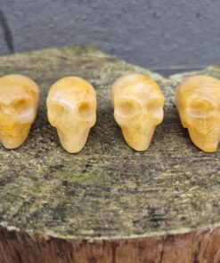 Alternative view of Goldenhealer alien traveller skull