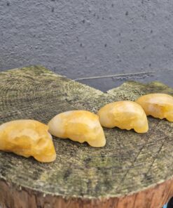 Goldenhealer alien traveller skull