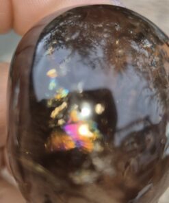 Alternative view of Braziliaanse Rookkwarts skull 4