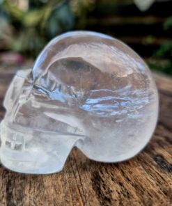 Braziliaanse lemuurkwarts skull 05