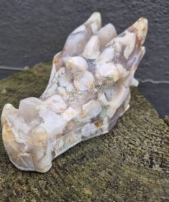 Alternative view of Bloemagaat draken schedel