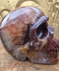 Red met golden healer schedel