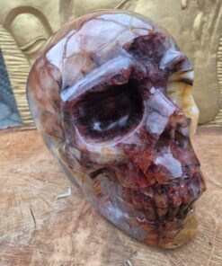 Alternative view of Red met golden healer schedel