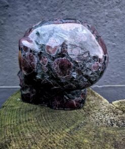 Alternative view of Granaat starbeïng skull