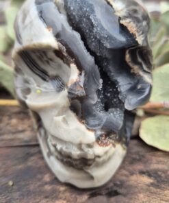 Vulkaan agaat schedel