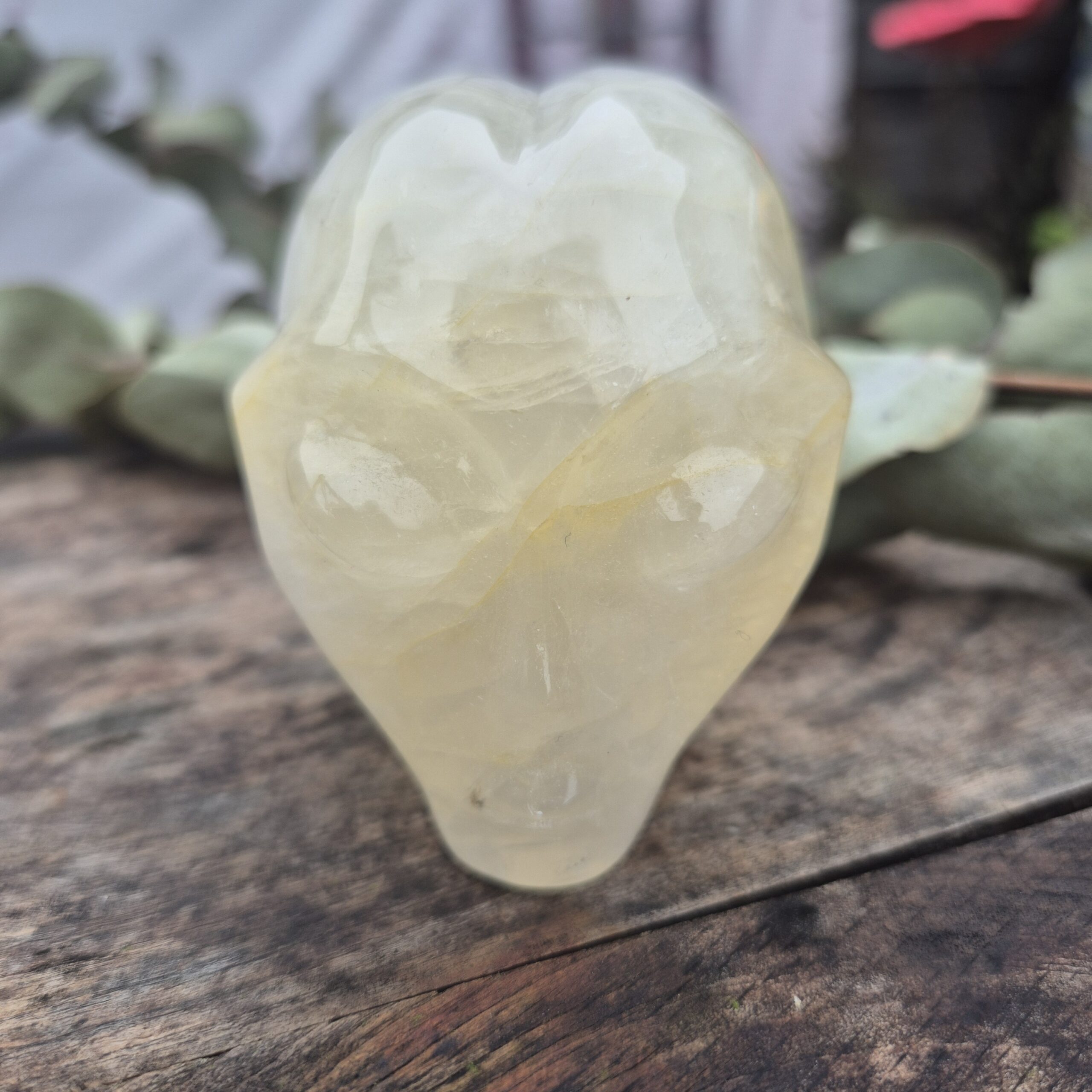 Goldenhealer Starbeing