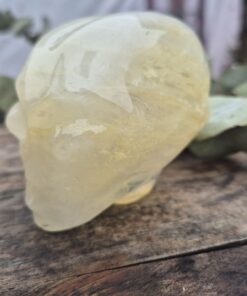 Alternative view of Goldenhealer Starbeing