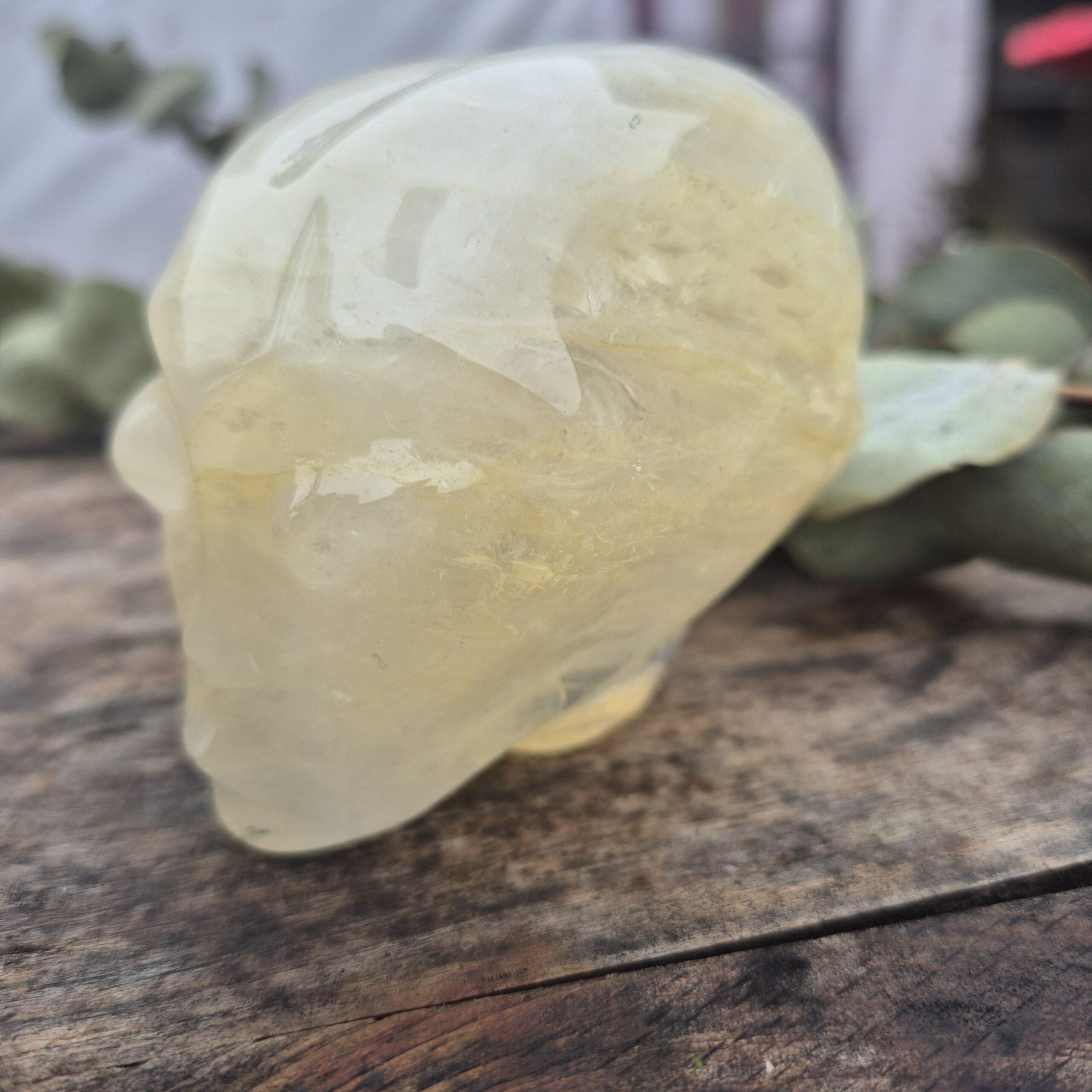 Goldenhealer Starbeing - Afbeelding 2